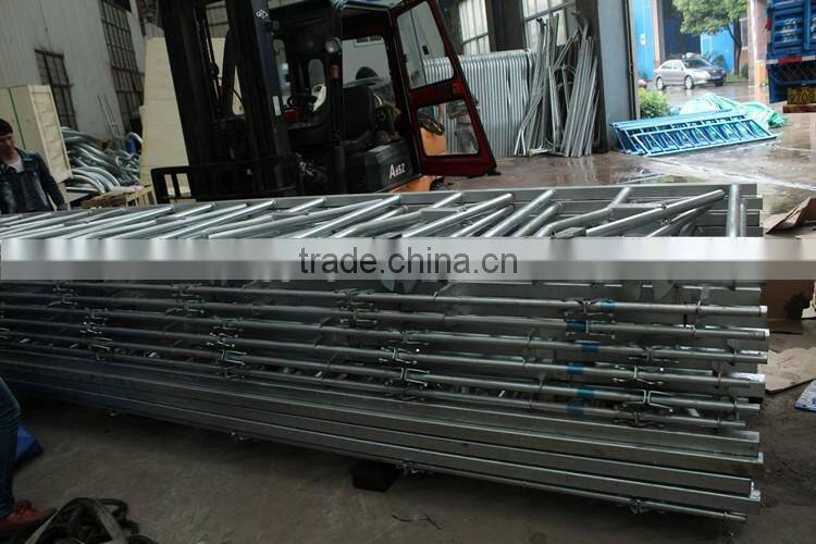 Cattle Head Lock for Dairy Farm