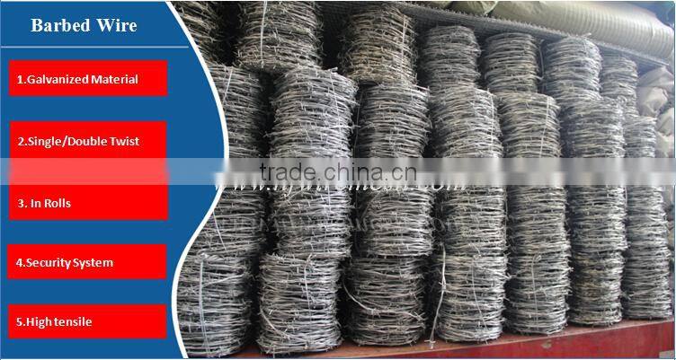 High Quality Used In Singapore Hot Dipped Galvanized Barbed Wire/PVC Coated Barbed Wire(Guangzhou Factory)
