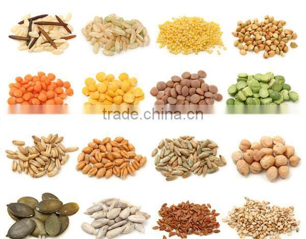 The most popular FL Series Fluidized Granulating Drier, small fruit/grape drying machine