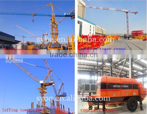 Joystick for Tower Crane(SCM H3/36B)