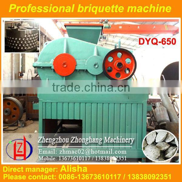 Real Supplier Top Briquetting Press Plant