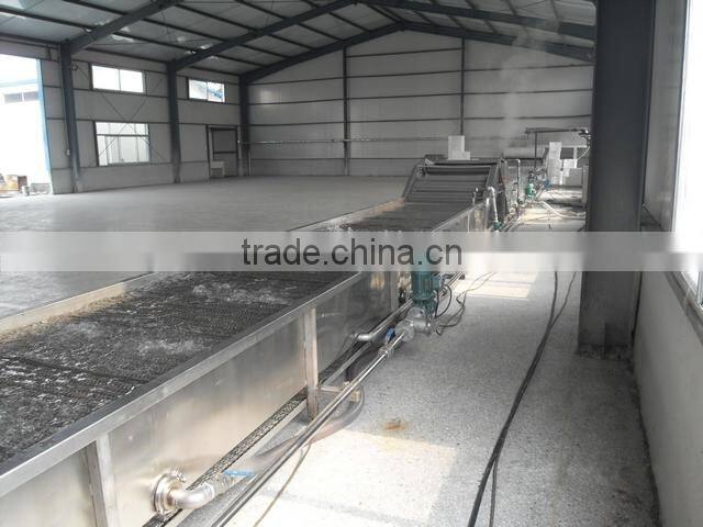 Mesh Belt Type Blanching Machine for Meat Product