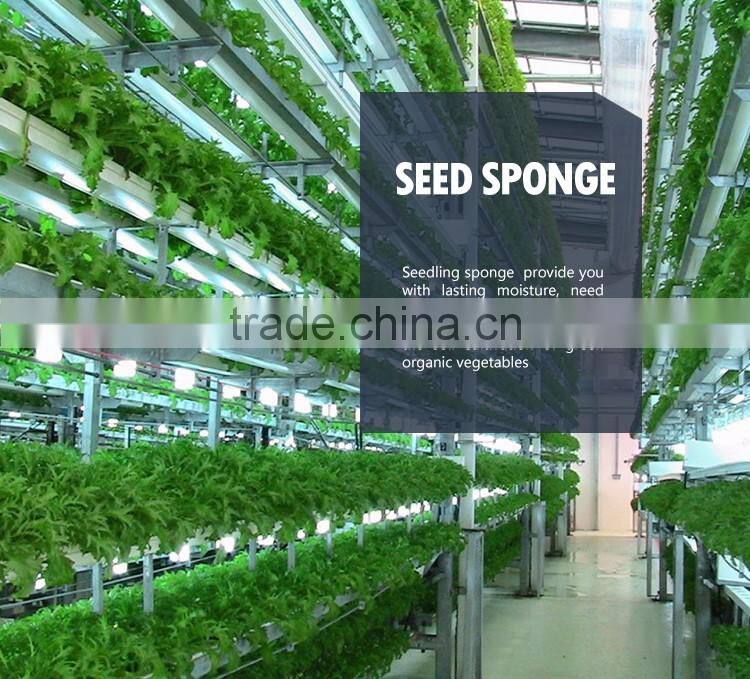 144 Pcs 1" Inch Cube Precut Sponge NFT DRFT Hydroponics Aeroponics Plant Seed