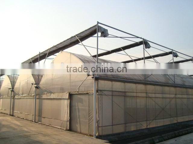 Artificial intelligence vegetable greenhouse