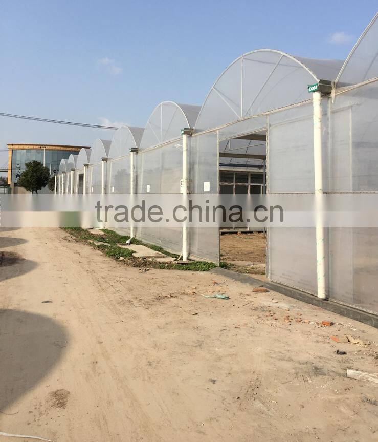 commercial polycarbonatge hydroponics greenhouse shade green house design