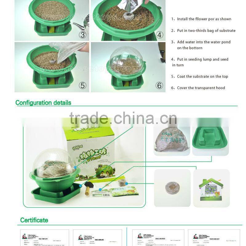 automatical water supplying indoor plants growing kits green globe