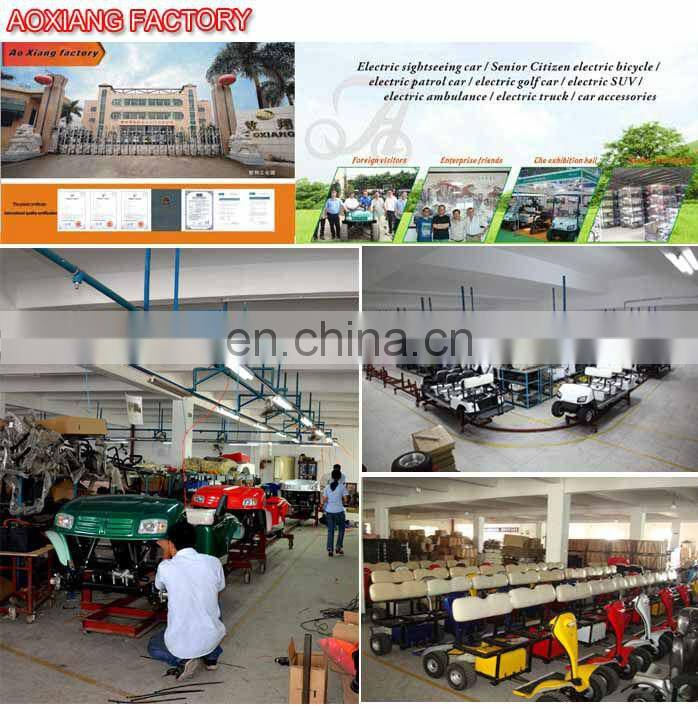 Curtis controller mini 2 seater golf cart