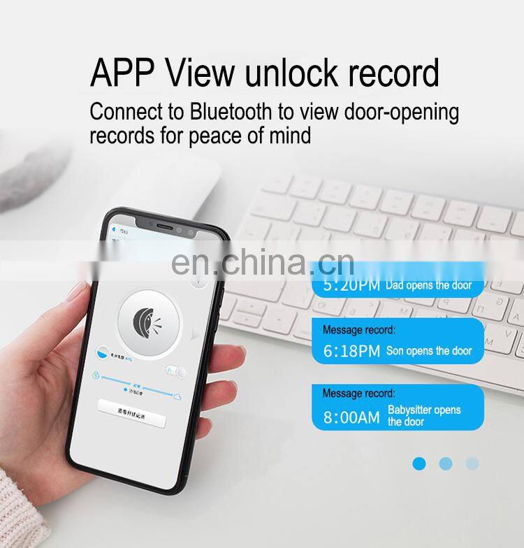 WE.LOCK new design smart security ttlock wifi control fingerprint door handle lock