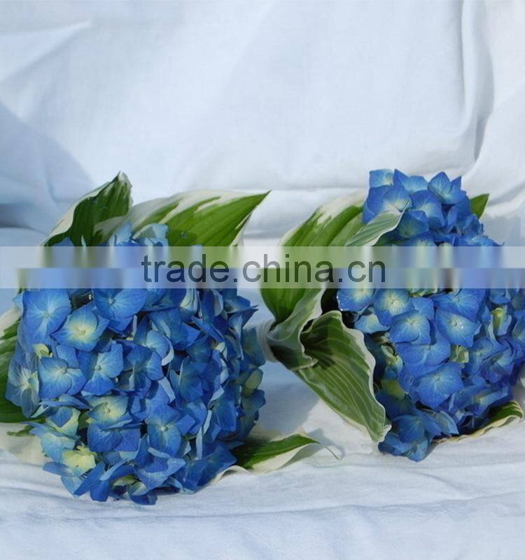 Super quality hotsell real look hydrangea