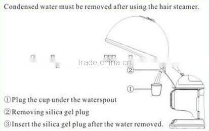 VY-3328 Hottest ozone hair steamer for face and hair