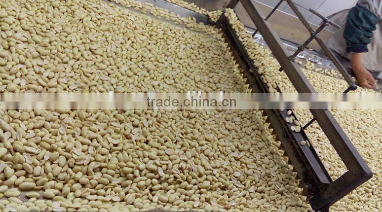 best selling products shelled peanut peanut kernels price