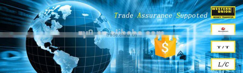 High quality NISSAN Ignition coil 22448-4w010 22448-4w011