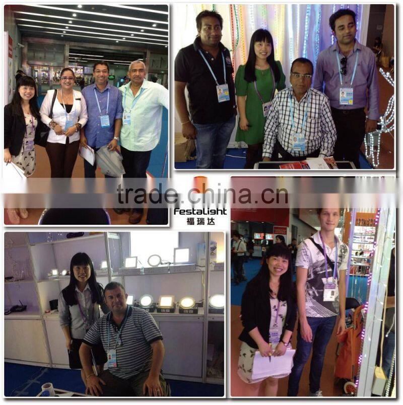 High:55CM 100LED sea bear 3D motif lights With 8 functions