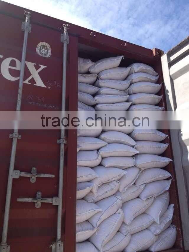 Hami Melon Seeds For Sale