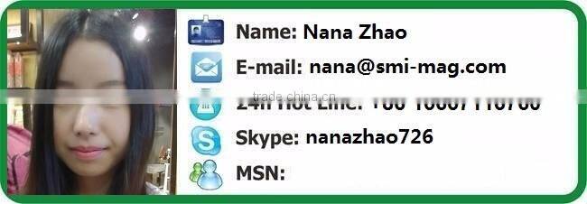 High quality smco egypt magnet