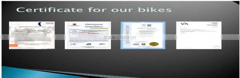 2014 big power fat tire 4 inch wholesale electric bicycle