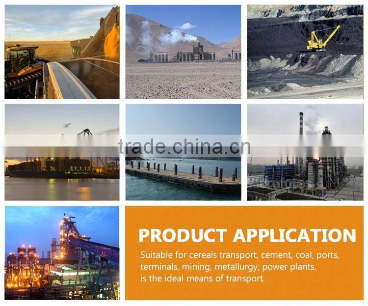 OEM Conveyor Spiral Return Roller