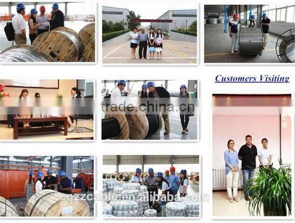 AAC/ACSR/AAAC/ACAR Bare Aluminum conductor cable / Wasp100mm2/Bee 125mm2/Hornet 150mm2/chater 200mm2/ butterfly 300mm2