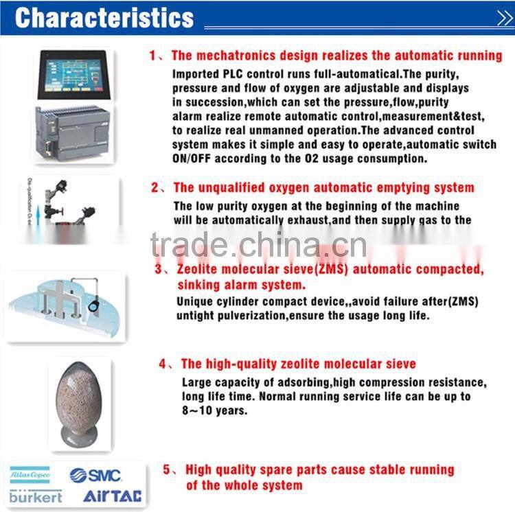 PSA Oxygen Generator by China Professional Supplier