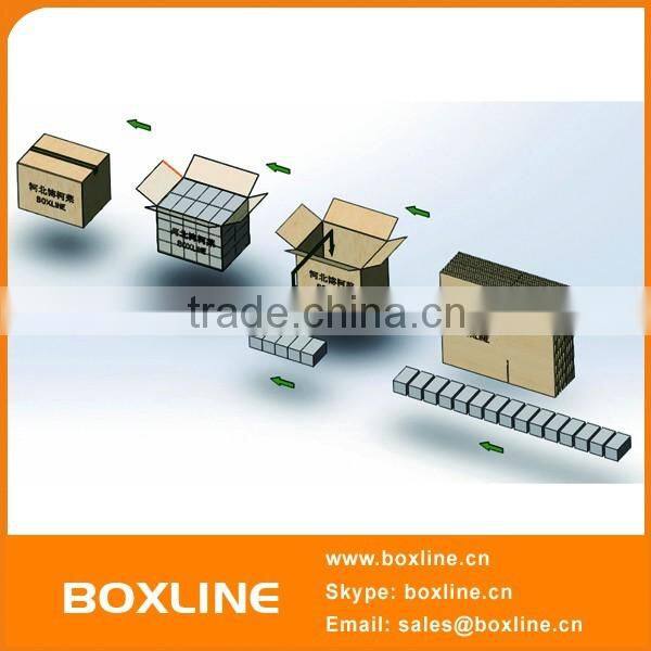 Parallel Robot Packing Production Line