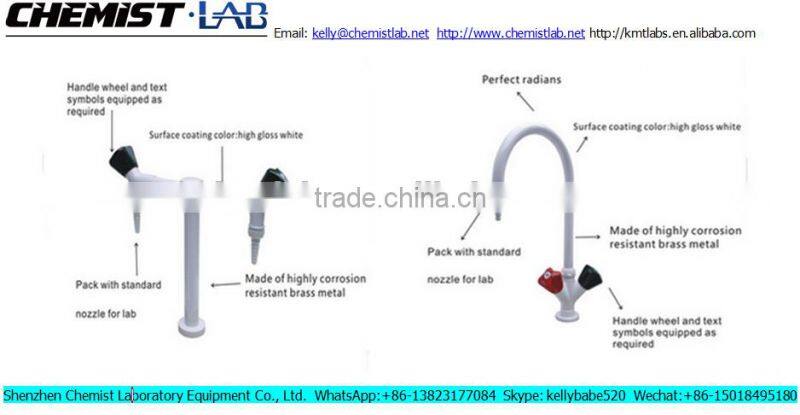 Bench Top Mounted Portable High Pressure 1-Way Lab Water Faucet in Chemical Laboratory