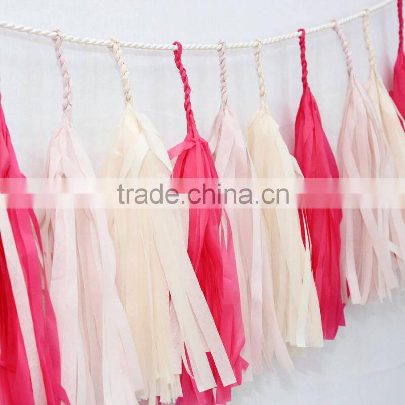 NEW Cinderella party decoration kit - 2 giant 36" balloons with tassels + 10 pom poms + tassel garland