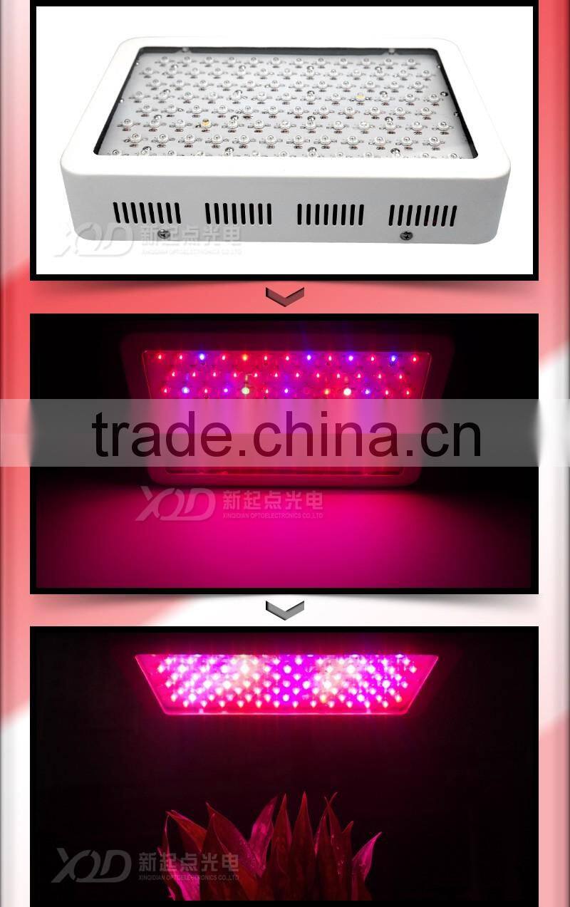 UV Red Blue indoor hydroponic 300w led grow lamp