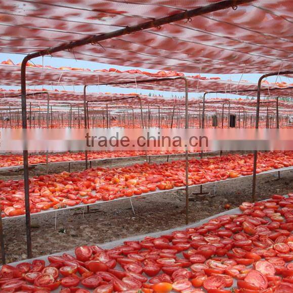 Wholesale Bulk Dried Tomato Sliced