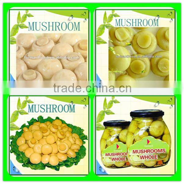 New crop mushroom canned in whole or pieces