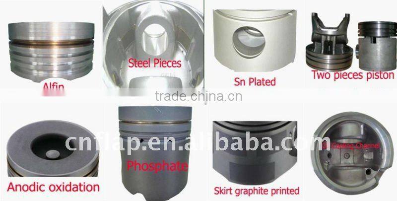 Piston and liner kit for 6CT