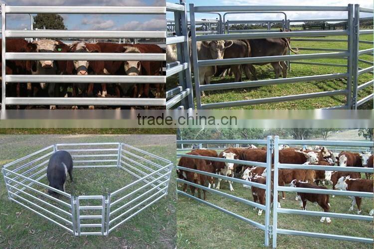 Hot Dipped Galvanized Cattle Yard Steel Panels For Cattle Fence System