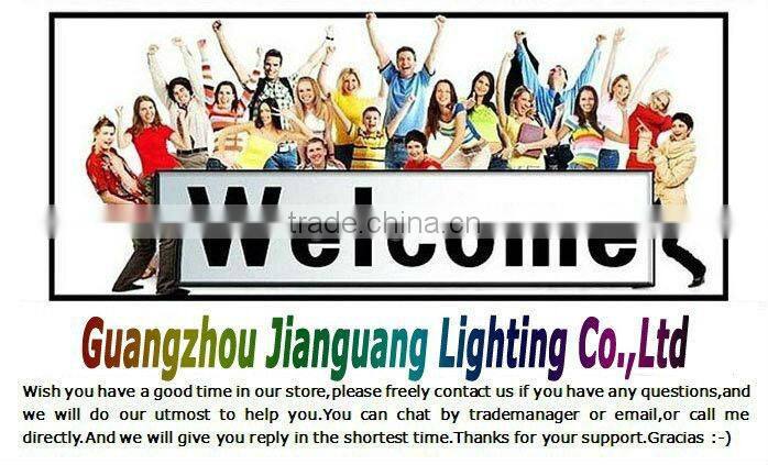 Guangzhou Factory! IP67 24W Waterproof Rechargeable LED work lights with Safety Case, Police Equipment