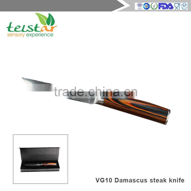 Japanese VG-10 67 Layers Damascus Premium Steak knife 4.5-inch with Gift Box