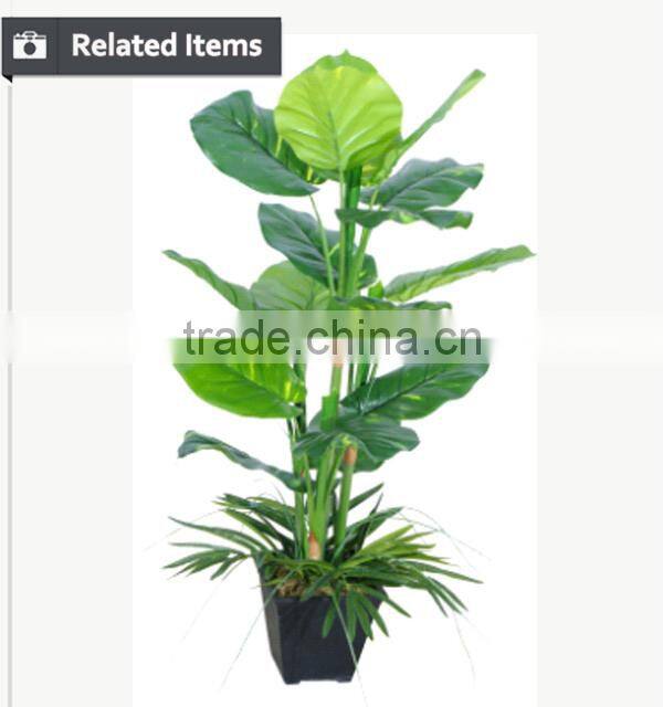 Artificial decorative banana tree ficus tree branch live bonsai tree for home and office decoration