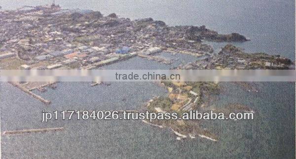 Hot-selling and Reliable japan collagen face facial mask japan with Functional made in Japan