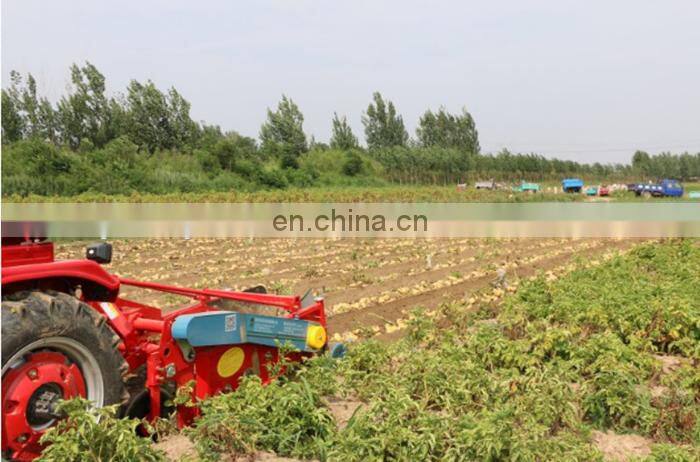 New 1 row 2 rows potato machine sweet potato digger potato peanut harvester for sale