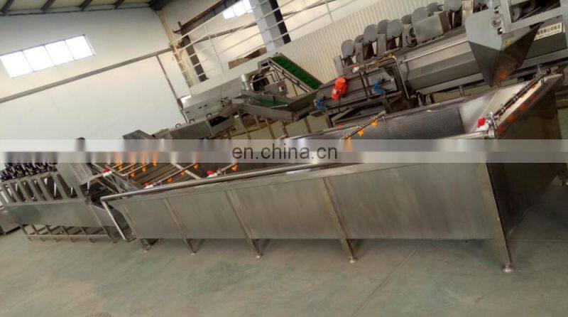 commercial wash machine for herb washing machine chili pepper cleaning machine