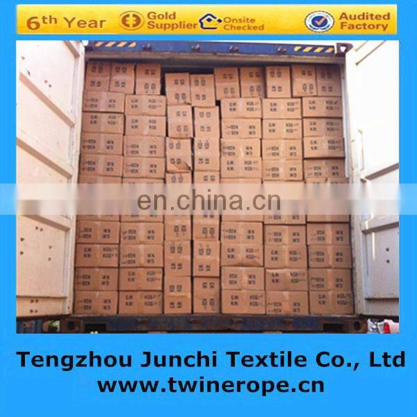 High Tenacity Intermingled Dope Dyed FDY 900D Pp Webbing Yarn