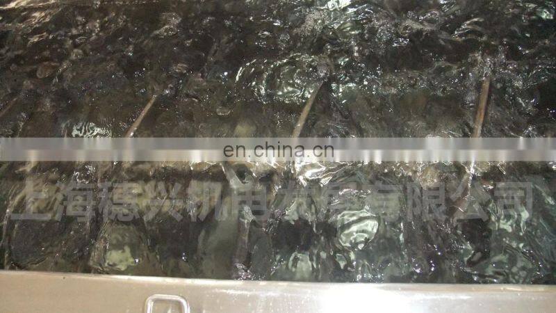 Horizontal Powder Ribbon Mixer