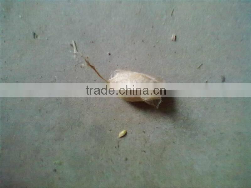 Good quality new arrival high density hand knotted pure handmade Chinese silk carpet