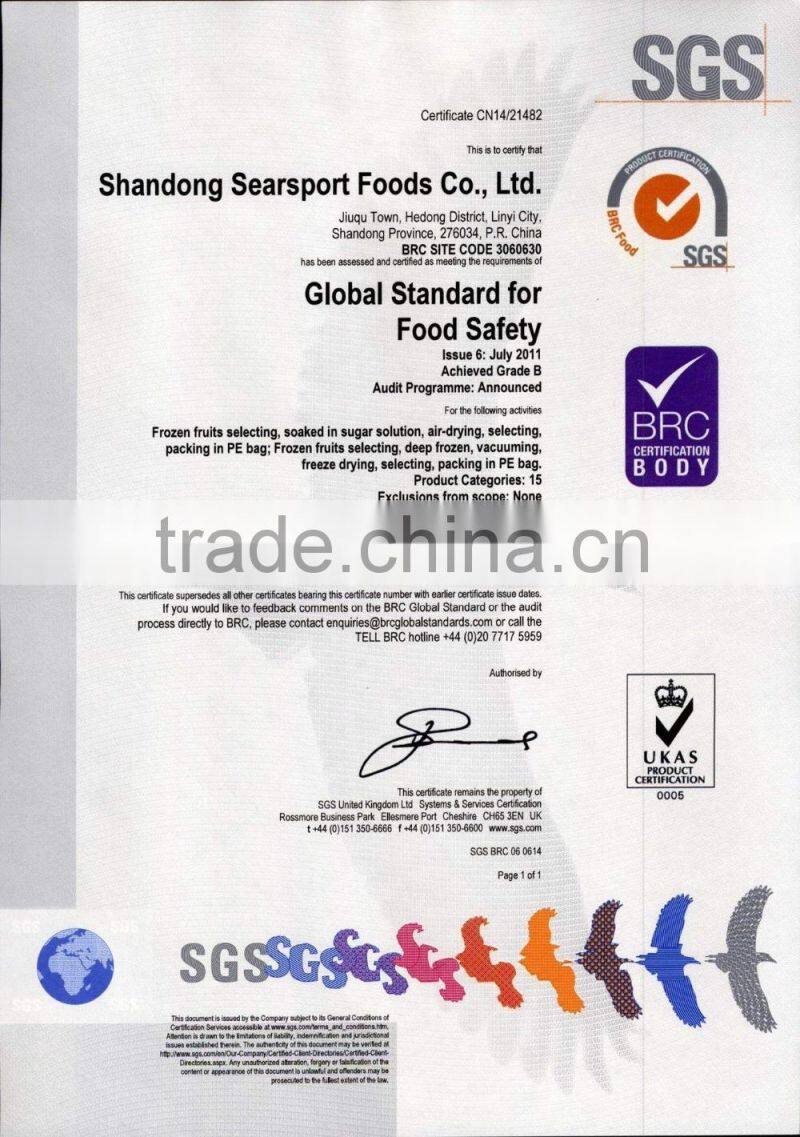 Freeze Dried Mango Dices 5mm*5mm