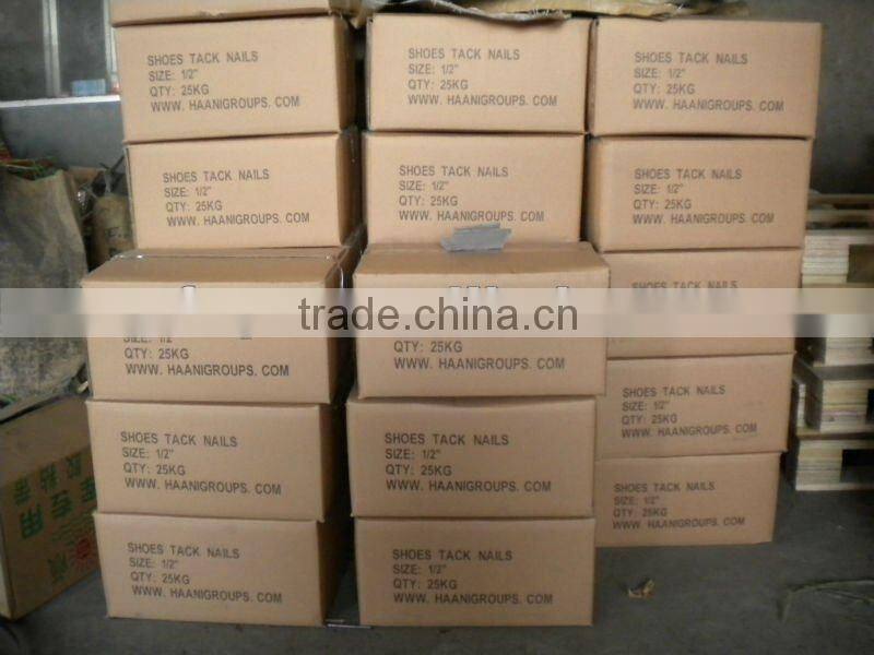 hot saled shoe tack nails(factory)