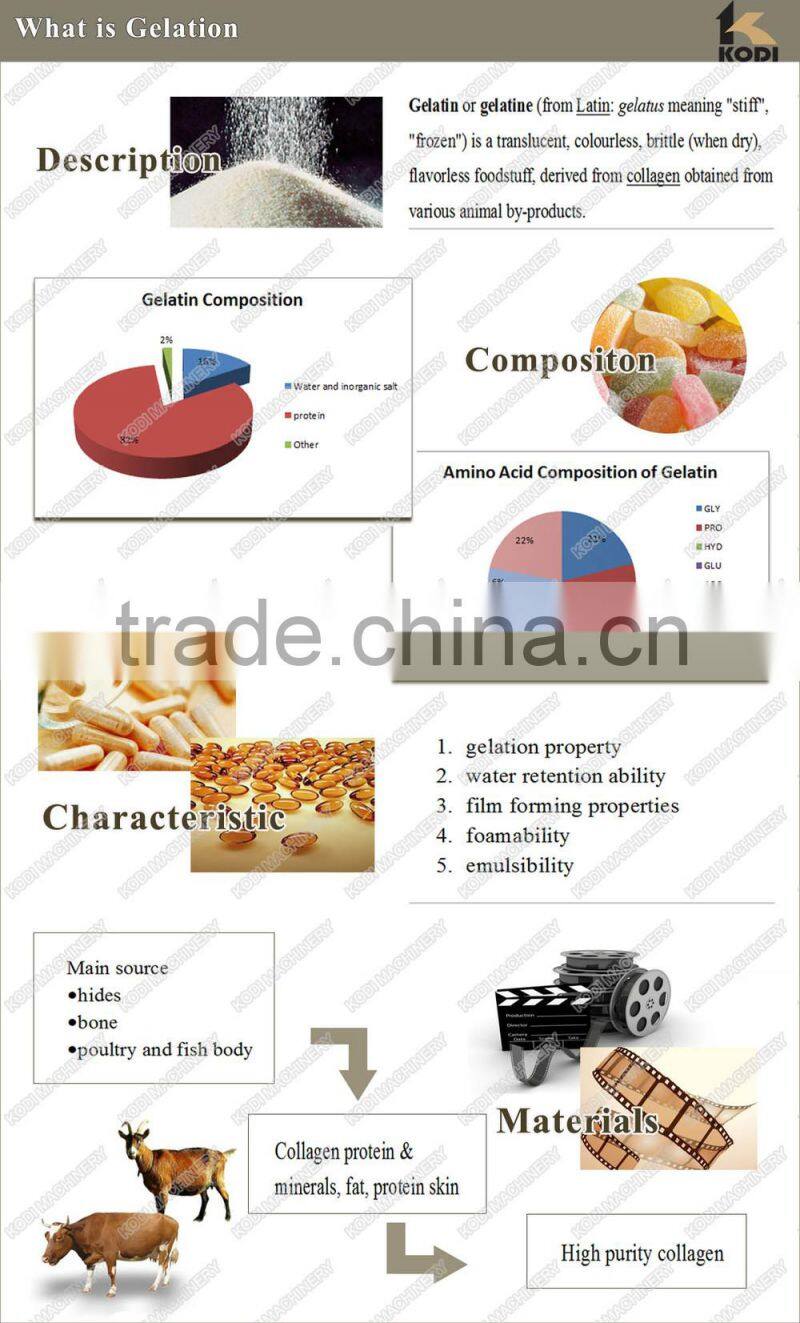 KODI High Quality Skin Gelatin Production Line