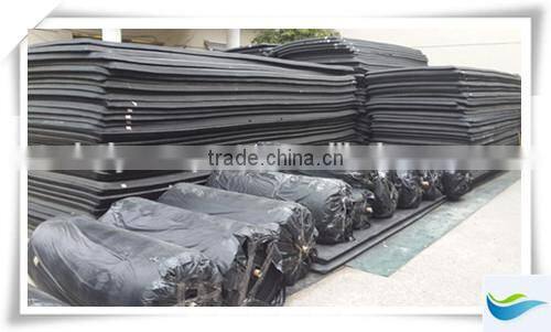 Black Shorty Customized Colour Neoprene Wetsuits