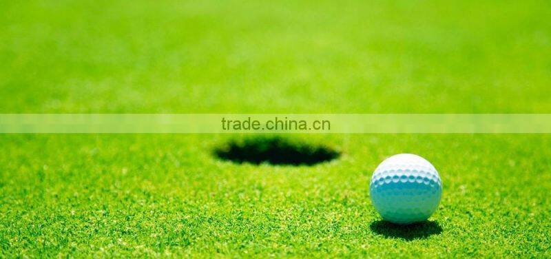 HOT,Multi - Purpose turf artificial grass/golf putting green