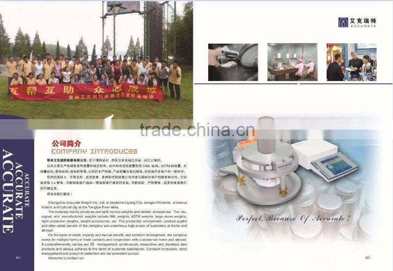 6900g M1 slotted test weight ,hanging scale weight, hook calibraiton weight.cast iron weight