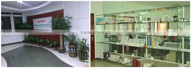 110lm/w PF>0.9 tennis court waterproof CE/MW driver 10w 20w 30w 50w 80W 100w IP65 led flood light