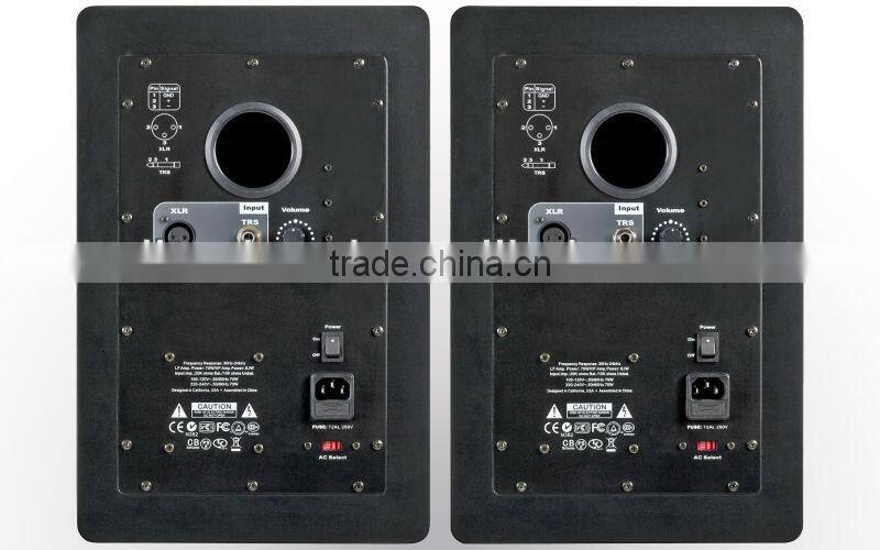 Summit Professional 8inch Monitor Stereo speaker