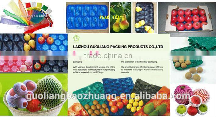 29x39cm/29x49cm/39x59cm Fruit Plastic Packaging For Display