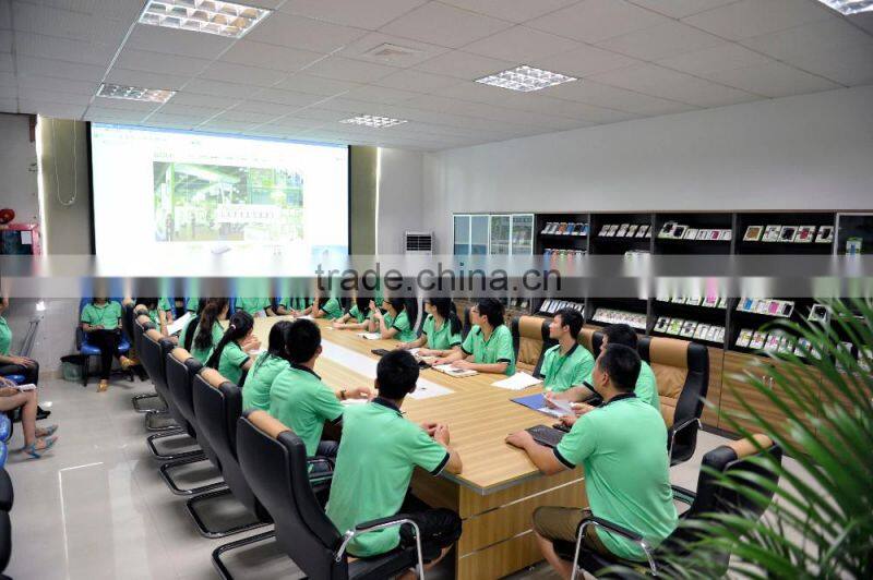 virtual reality glasses